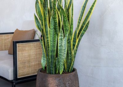 Aménagement jardin