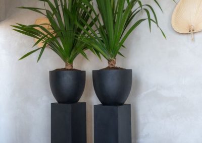 Entrepreneur parcs et jardins