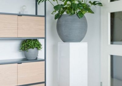 Entreprise parcs et jardins au Luxembourg
