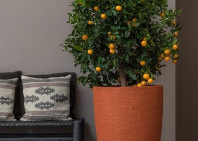 Entreprise parcs et jardins Luxembourg