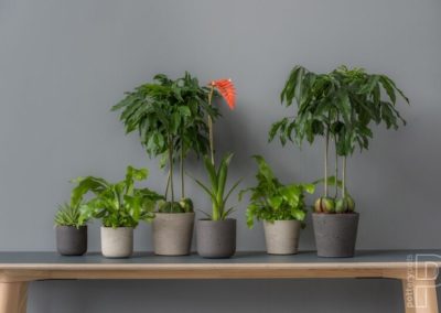 Entretiens jardins poterie