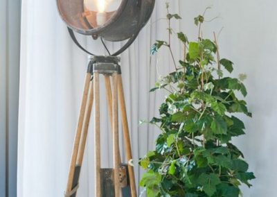 Pot blanc plante Pottery Pots