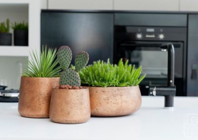 Pot décoration cuisine plante cactus Pottery Pots