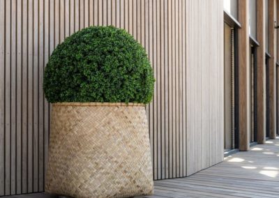 Pot panier buisson