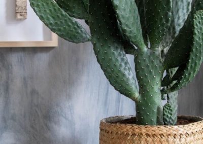 Pot panier cactus déco bohème