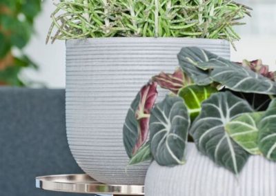 Pot plante blanc décoration Pottery Pots