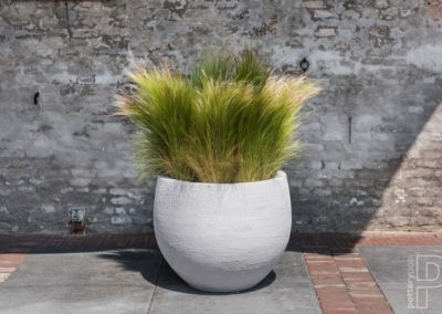 Pot plante extérieur