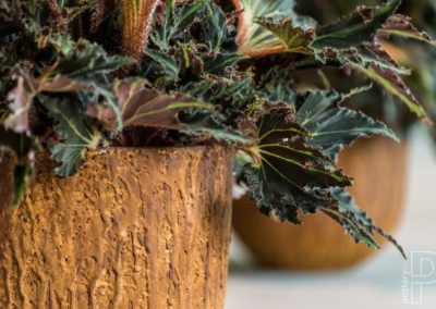 Pot plante Pottery pot terre