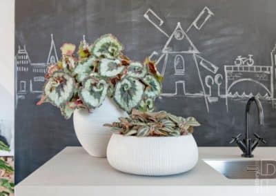 Pottery Pots cuisine plantes