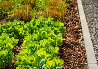 Aménagement extérieur - jardin