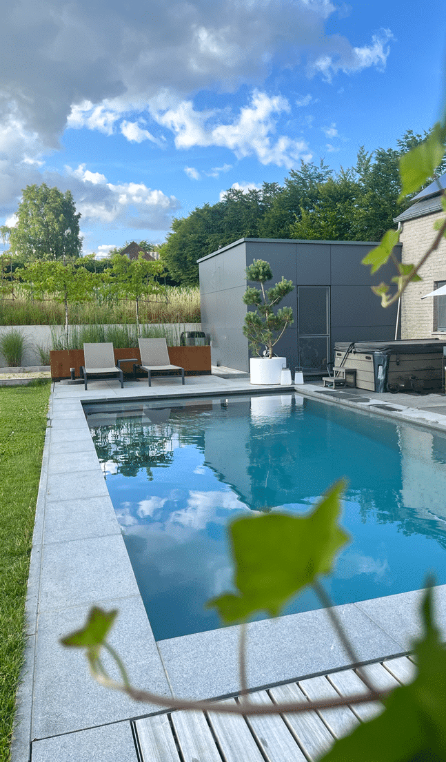 Piscine - spa - Terrasse - terrain pétanque - mobilier jardin