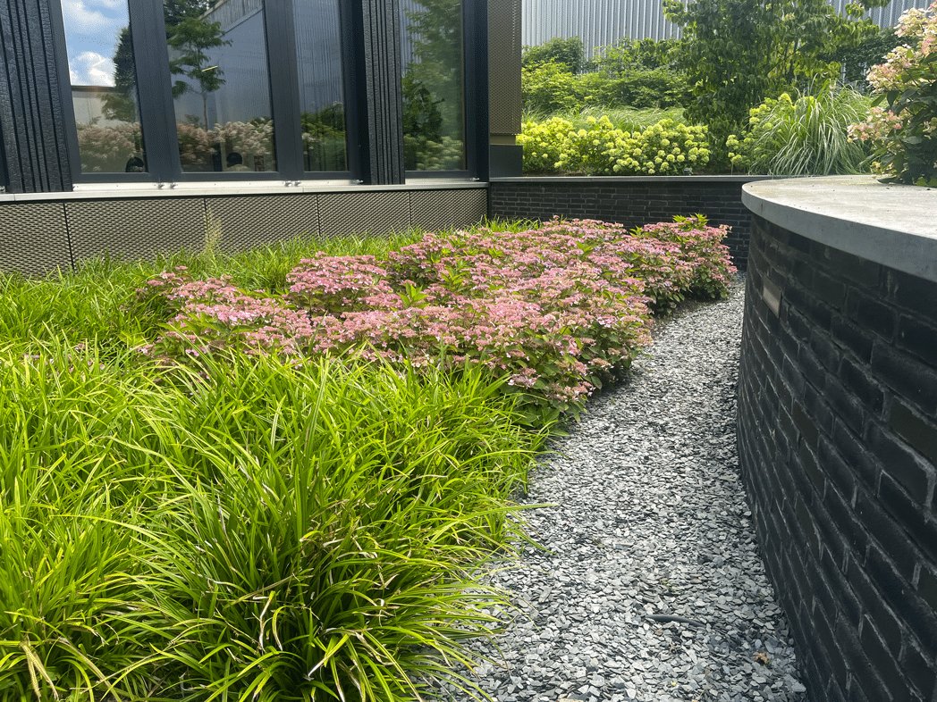 Aménagement extérieur - Plantation - Végétaux