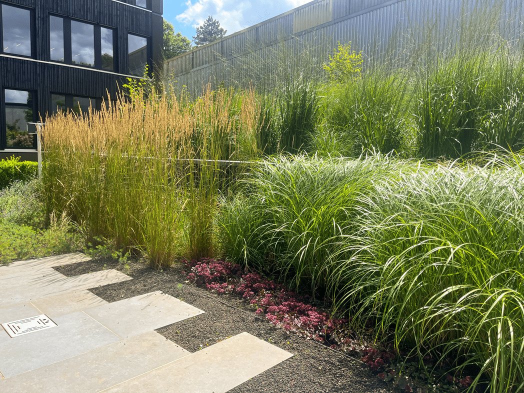 Services - Entretien - Gardenskoncept Luxembourg
