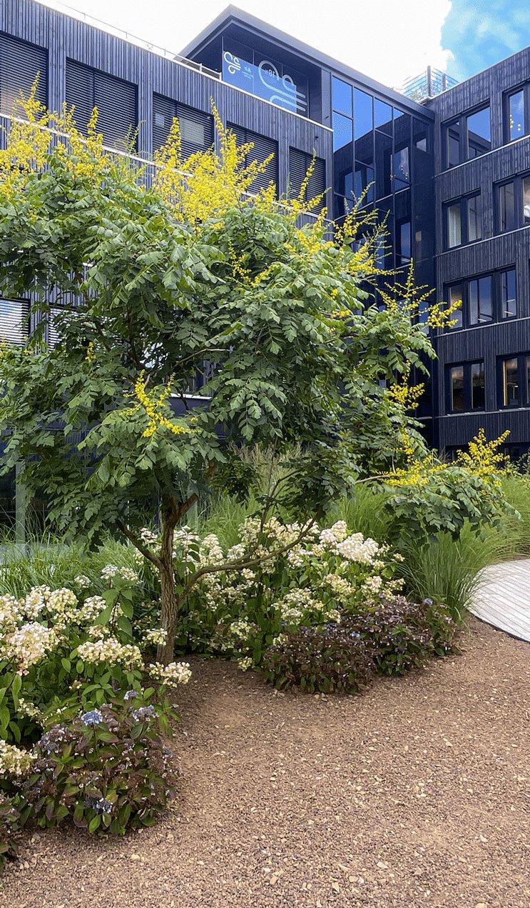 Aménagement de jardin - Plantation, élagage, abattage
