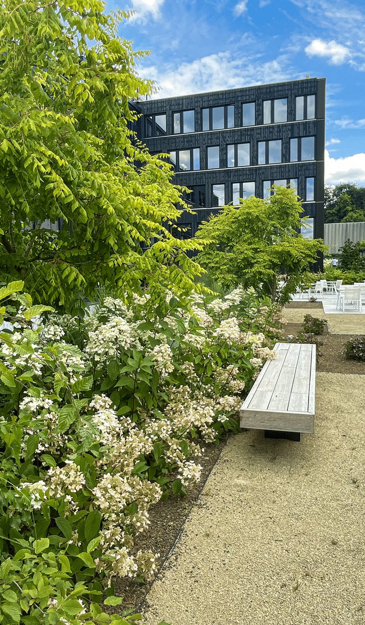 Plantation végétation - Aménagement de jardin