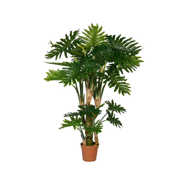 Philodendron-L - Plante artificielle Gardenskoncept