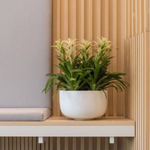 Sunny-L-Matte-White- Poterie au Luxembourg