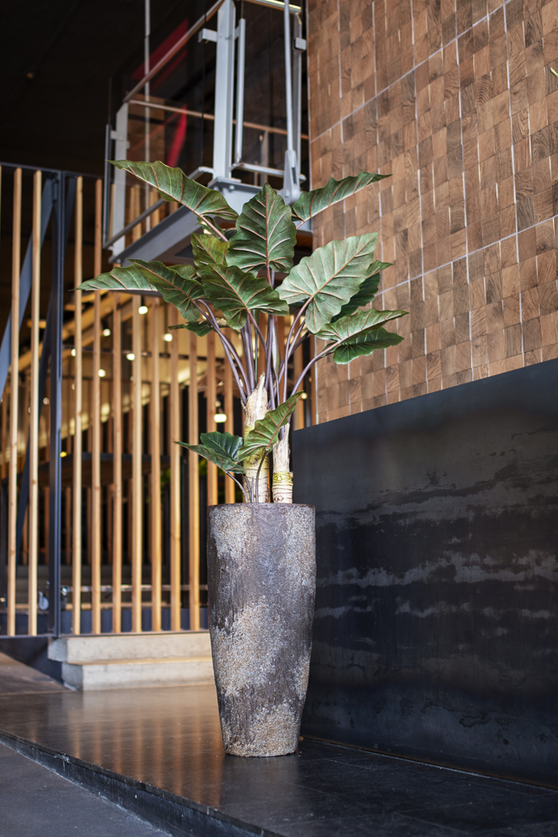 Poterie décorative intérieur et extérieur – Luxembourg – Gardenskoncept