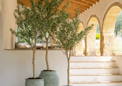 Poteries décoratives pour intérieur et extérieur