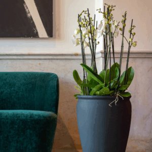 Pots décoratifs pour aménagement extérieur