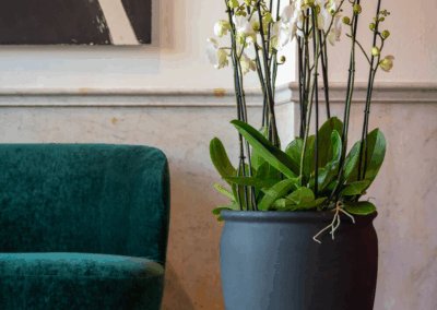 Pots décoratifs pour aménagement extérieur