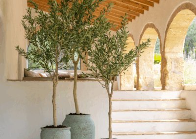 Poteries décoratives pour intérieur et extérieur